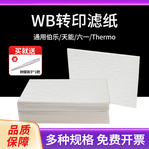 WB转膜转印厚滤纸伯乐天能通用