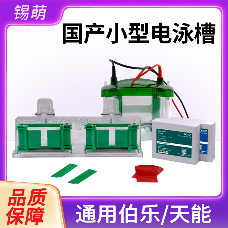 小型垂直电泳槽蛋白槽制胶槽 适配Bio-Rad/伯乐Mini-ProteanTetra