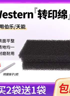 Western blot转印棉湿转转印海绵垫海绵衬垫多孔垫通用伯乐/天能