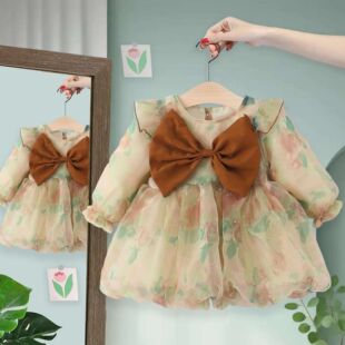 一岁女宝宝超好看小裙子女童纱裙连衣裙小女孩绝美公主裙洋气时髦
