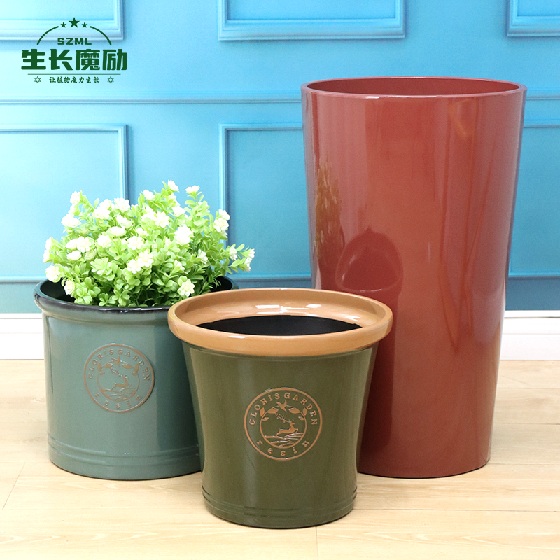 天堂鸟大花盆落地发财树花盆