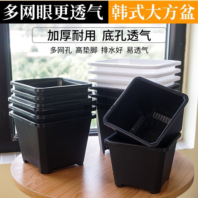 新款加厚大口径韩式方形花盆正方形小多肉盆植物花卉绿植简约花盆,鲜花速递/花卉仿真/绿植园艺,花盆,淘宝优惠券,粉丝福利购,淘宝优惠卷