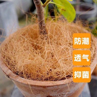 印度椰丝铺面进口 花卉绿植盆栽装填充物饰椰土椰壳丝椰棕丝透气