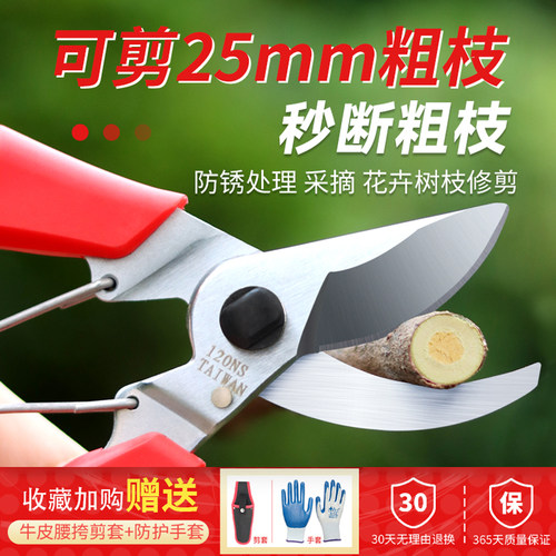 家用花卉盆栽多肉植物园艺修枝剪