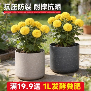 花盆家用直筒盆养花简约树脂加厚加仑盆种植绿萝兰花绿植塑料圆形