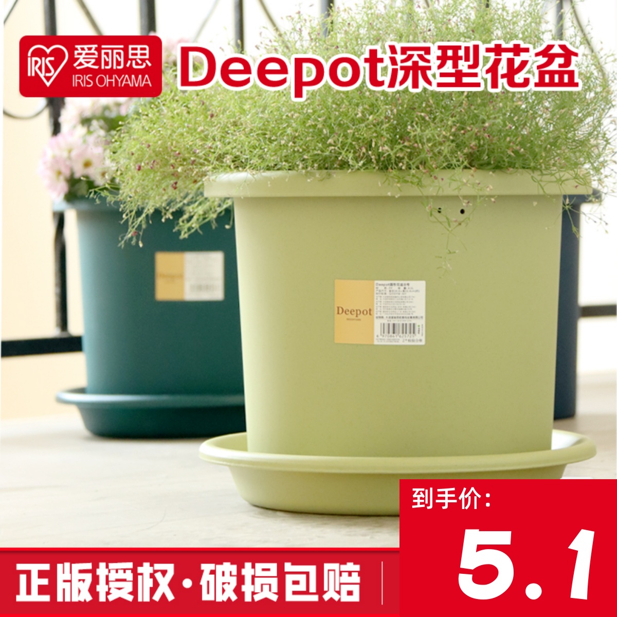 爱丽思Deepot深型花盆月季铁线莲