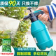 浇花喷壶喷雾瓶园艺家用酒精消毒气压喷雾器压力浇水壶高压喷水壶