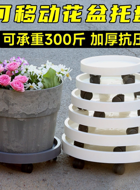 生长魔励树脂移动托盘花盘塑料底座万向轮花盆底托滚轮接水盘底盘
