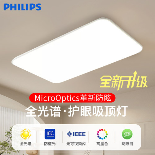 LEDPhilips/飞利浦现代简约