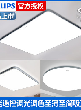 简约现代无极调光飞利浦亚克力