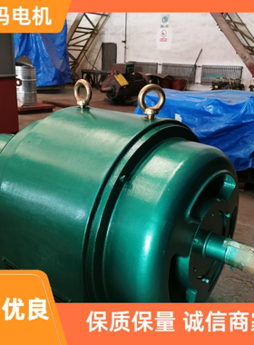 西玛电机JR系列JR127-10 115KW 380V绕线转子三相异步电动机