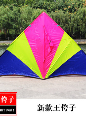新品潍坊王侉子544软伞布碳杆大型成人长尾三角初学风筝微风