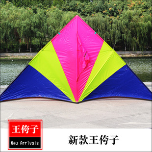 新品 潍坊王侉子544软伞布碳杆大型成人长尾三角初学风筝微风