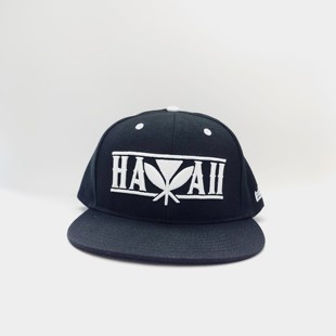 Finest 重刺绣嘻哈帽含羊毛丝绸内里大头帽平檐 Hawaii 夏威夷