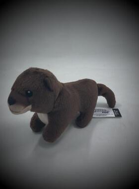 收藏版水獭公仔 水獭毛绒玩具 外贸迷你水獭公仔  独立包装