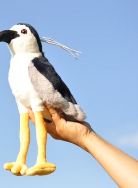 设计师原创-夜鹭夜师傅毛绒玩具玩偶鸟类周边观鸟 纪念品