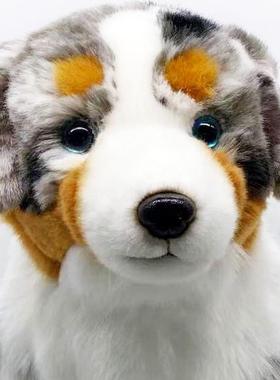仿真澳牧可爱小狗仿真动物毛绒玩具 牧羊犬公仔