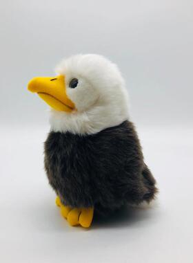 仿真白头海雕公仔 美洲雕玩偶 老鹰毛绒玩具儿童圣诞节日礼物早教