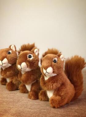 创意红松鼠公仔 小松鼠毛绒玩具 野地松鼠毛绒玩具