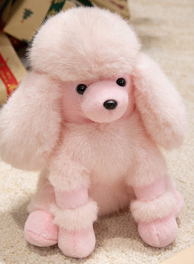 可爱贵宾犬公仔毛绒玩具泰迪狗玩偶小狗布娃娃男女生儿童生日礼物