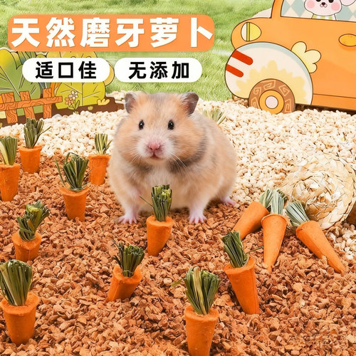 仓鼠零食胡萝卜磨牙兔子龙猫金丝熊荷兰猪花枝鼠磨牙齿零食全套