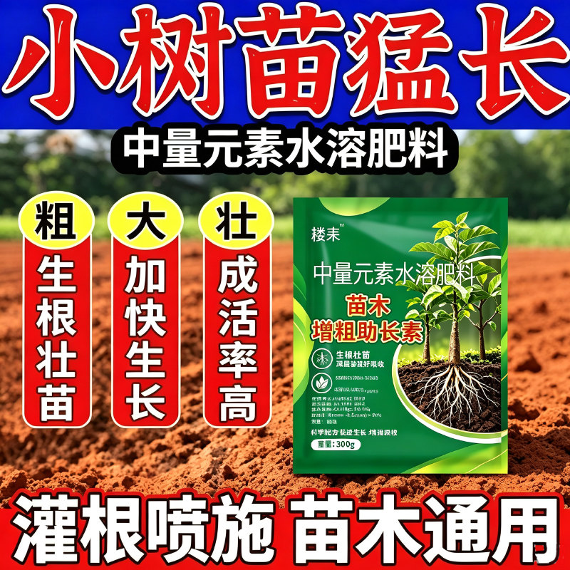 苗木速长增粗剂果树杨树树苗桉树茶树生根肥壮根剂促生长新芽猛长