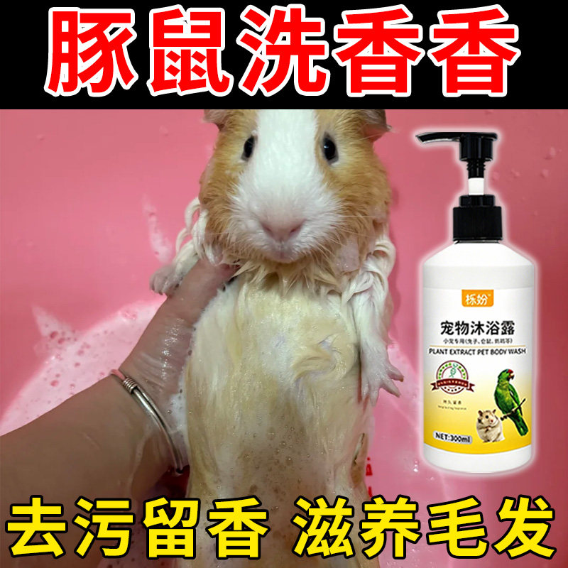 荷兰猪沐浴露除臭专用豚鼠荷兰猪沐浴露抗菌除臭除螨豚鼠洗澡用品