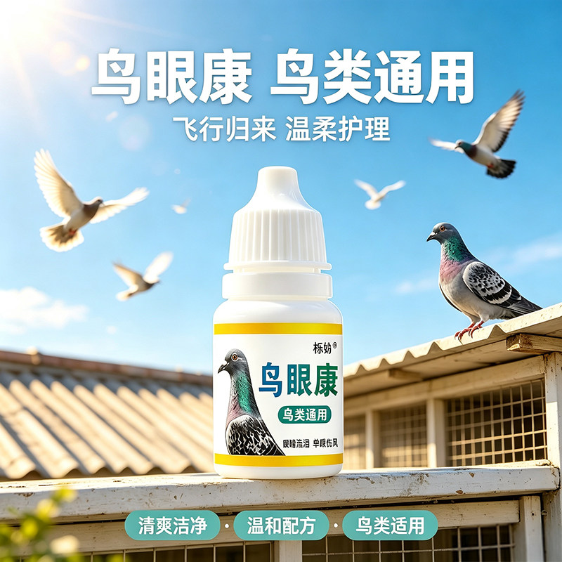 鸽子单眼伤风眼流泪肿胀闭眼流泪信鸽赛鸽幼鸽专用滴眼液