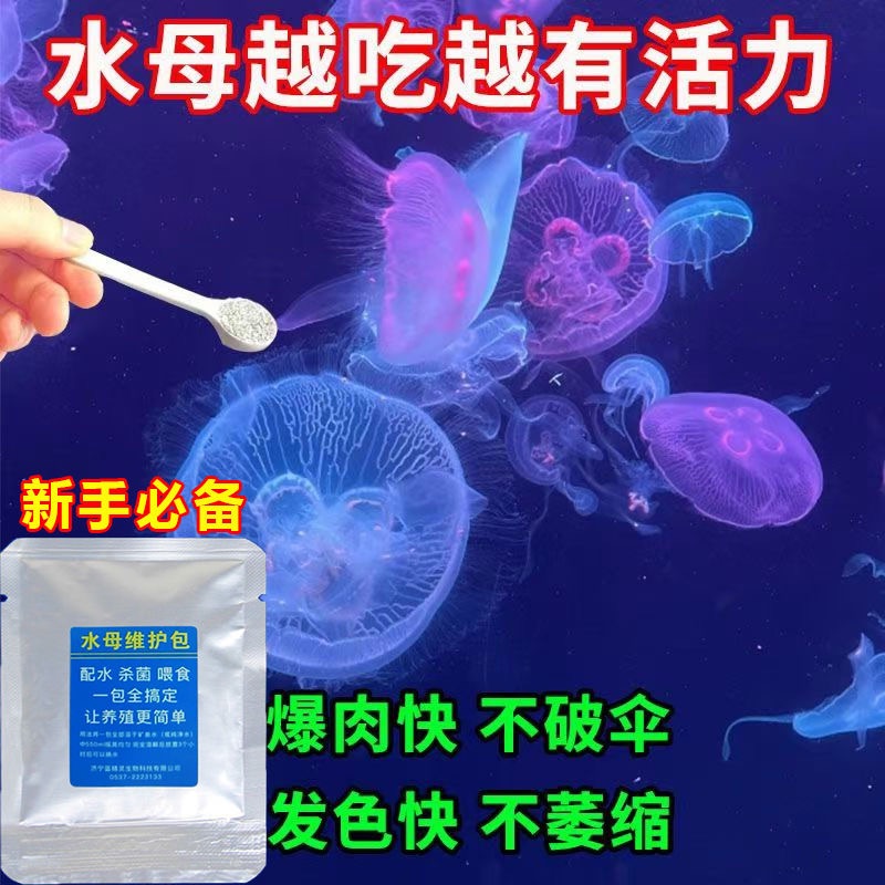 水母盐赤月海月专用盐水母摆摊专用盐开缸海盐海月赤月水母海水素