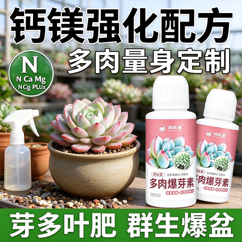 得能量多肉营养液爆芽促生帮助多肉冒侧芽变群生