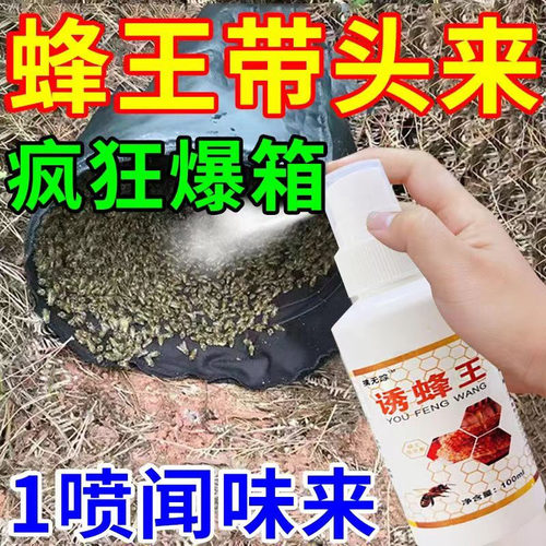 诱蜂水吸引蜂王蜜蜂闻味来