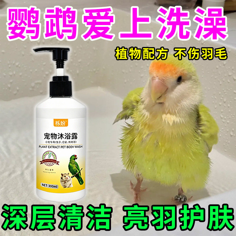 鹦鹉沐浴露除臭专用豚鼠荷兰猪沐浴露抗菌除臭除螨豚鼠洗澡用品