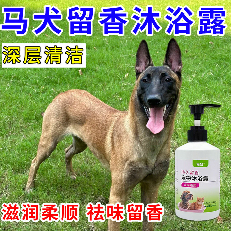 马犬专用沐浴露亮白去黄狗狗白毛犬沐浴液宠物狗清洁用品香波