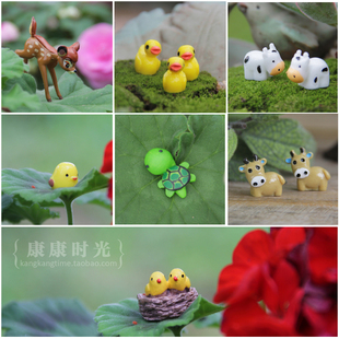 {康康时光} 苔藓微景观摆件 多肉花盆装饰 小鹿小鸟黄鸭乌龟奶牛
