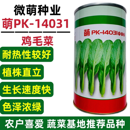 微萌PK-14031鸡毛菜种籽耐热耐湿速生鸡毛菜种子农家春夏秋季播种