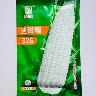 迪甜糯336玉米甜加糯玉米种子皮薄无渣好吃矮杆早熟加甜糯玉米籽