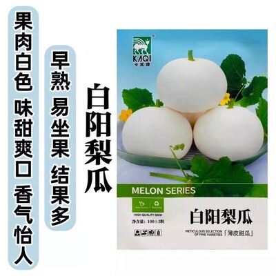 神禾白阳梨瓜种籽薄皮甜瓜种子早熟白皮白肉香瓜种孑农家春季播种