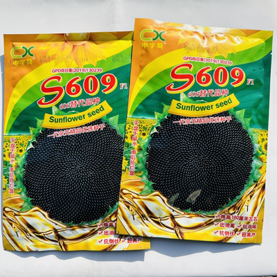 中字葵S609油葵种子高产抗倒伏高油向日葵种籽农家春夏播葵花籽种