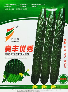 亿丰源亮丰优秀绿瓤黄瓜种子抗病高产杂交油亮型黄瓜种籽春秋季播