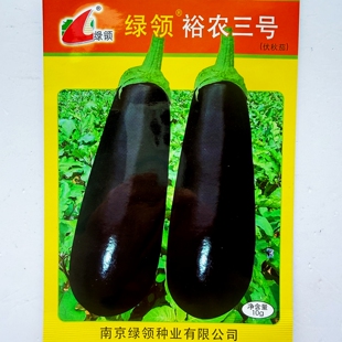 绿领裕农三号伏秋茄种子早熟长棒形亮皮墨黑色茄子种籽农家春秋播