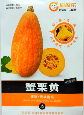 瓜瓜乐蟹栗黄贵族南瓜种子细糯香甜板栗味南瓜种籽农家春秋季播种