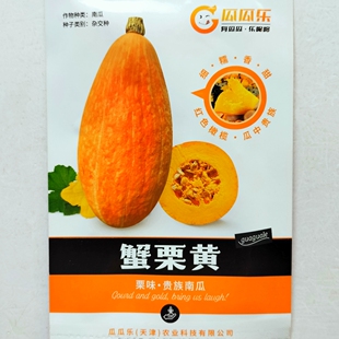 瓜瓜乐蟹栗黄贵族南瓜种子细糯香甜板栗味南瓜种籽农家春秋季播种