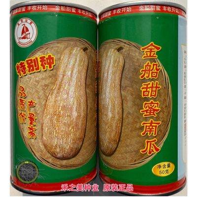 金船甜蜜南瓜种子超甜粉面蜜本甜南瓜早熟高产耐贮运四季蔬菜种籽