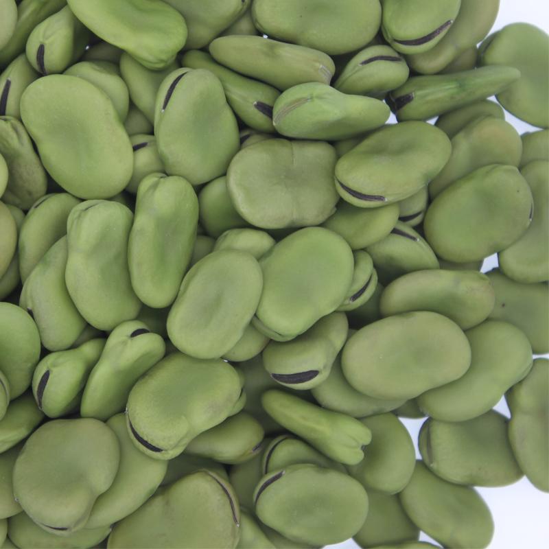 蚕豆种子农家老品种特级蚕豆种籽好吃营养丰富越冬种的蔬菜种孑