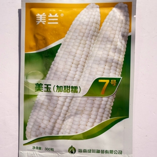 美兰美玉7/27号加甜糯玉米种子大棒高产甜味糯白玉米种籽春秋季播