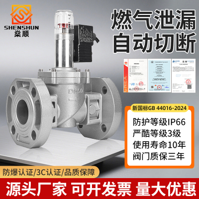 工业商用燃气报警器自动切断阀电磁式煤气液化气天然气泄漏探测器