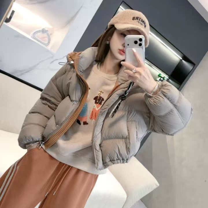 【熙薇SIVI】2025秋冬新款时尚休闲加厚连帽羽绒服H6266