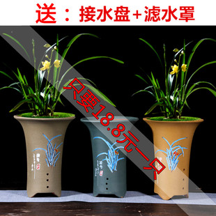 宜兴紫砂兰花盆 桌面绿植花卉盆包邮包破损