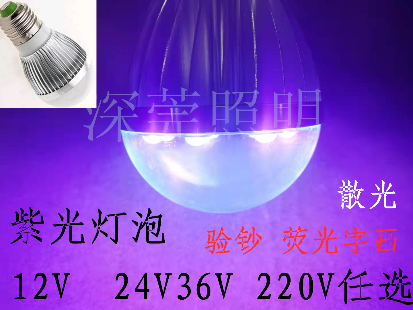 紫光灯密室专用12V220V散光灯泡