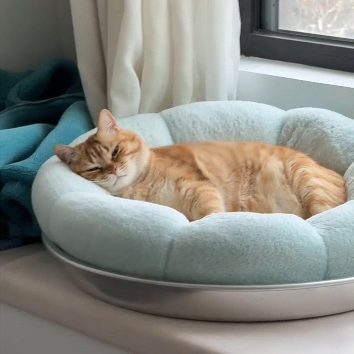 太可爱啦~猫窝猫咪睡窝四季通用垫子小猫床睡觉狗窝毛绒宠物保暖